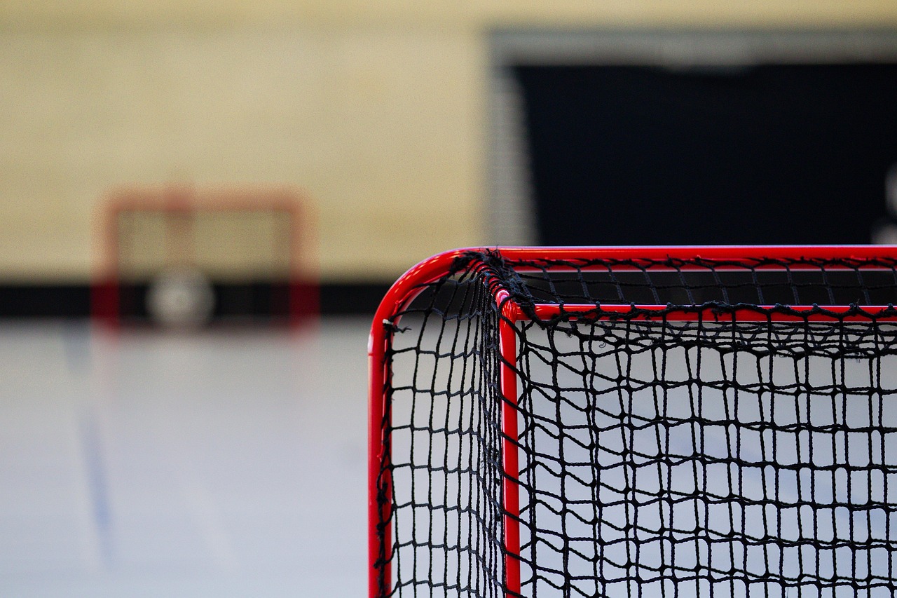 Which Hockey Betting Apps India Review 2027: Bonus, App, Withdrawal Tested